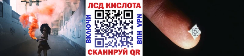 Марки N-bome 1500мкг Кедровый