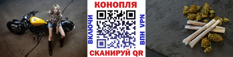 сайты даркнета телеграм  Кедровый  Конопля сатива 